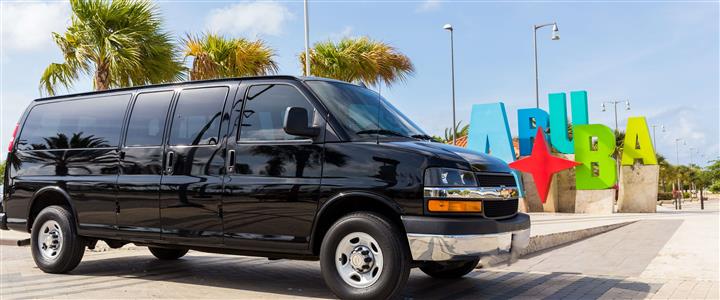 Private One-Way Arrival Transportation - Van